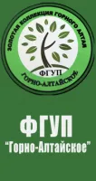Саженцы вишни войлочная