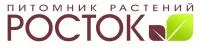 Грецкий орех Великан