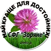 Скаты на трактор МТЗ