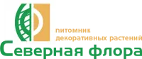 Саженцы Бирючины обыкновенная