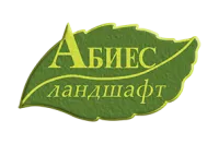 Роза флорибунда Голден Дримс