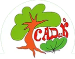 Саженцы ирги