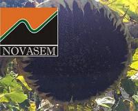 НОВАСЕМ (Novasem SRL) Семена гибридов подсолнечника