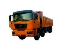 Самосвал SHACMAN Shaanxi SX3316DT366