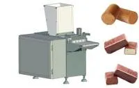 Экструдер пищевой винтовой SEM-200