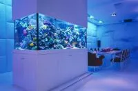 Морской аквариум