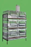 Клетка для кур несушек КН-3я-6о, 3 яруса, 6 отсеков