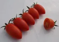 Семена томата Рио Бамбино F1, 100 шт