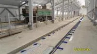 Навозоуборочный транспортер ТСН-3Б