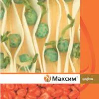Протравитель Максим, КС