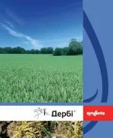 Гербицид Дерби 175