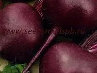 Семена свеклы Бикорес АЭ