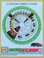 Календарь вывода маток