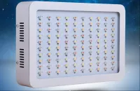 2 штуки / Фитосветильник RDM-300-АЛ для теплиц