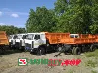 МАЗ 5516Х5-480-050