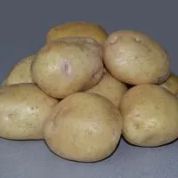 Семенной картофель «Невский»