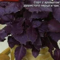 Семена базилика Ереванский 0,3 г, Аэлита