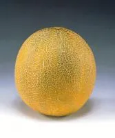Айкидо F1 (1000с)