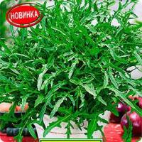 Салат Руккола Васаби 0,3Г Аэлита