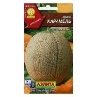 Дыня Карамель 1Г Среднеспелая Аэлита
