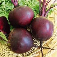 Семена свеклы Кестрел F1, Sakata seeds (Саката сидз), 50000 с