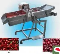 Машина для удаления косточек из фруктов DYA-500