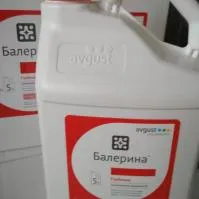 Балерина, СЭ