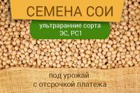 Семена сои под урожай с отсрочкой платежа