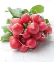Семена редиса Рондеел
