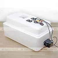Инкубатор для яиц 36 220/12 В