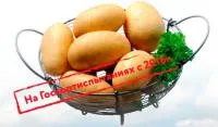 Семена картофеля Каптива