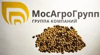 Семена вики 1 кг
