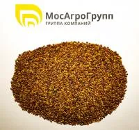 Семена клевера лугового красного Дымковский